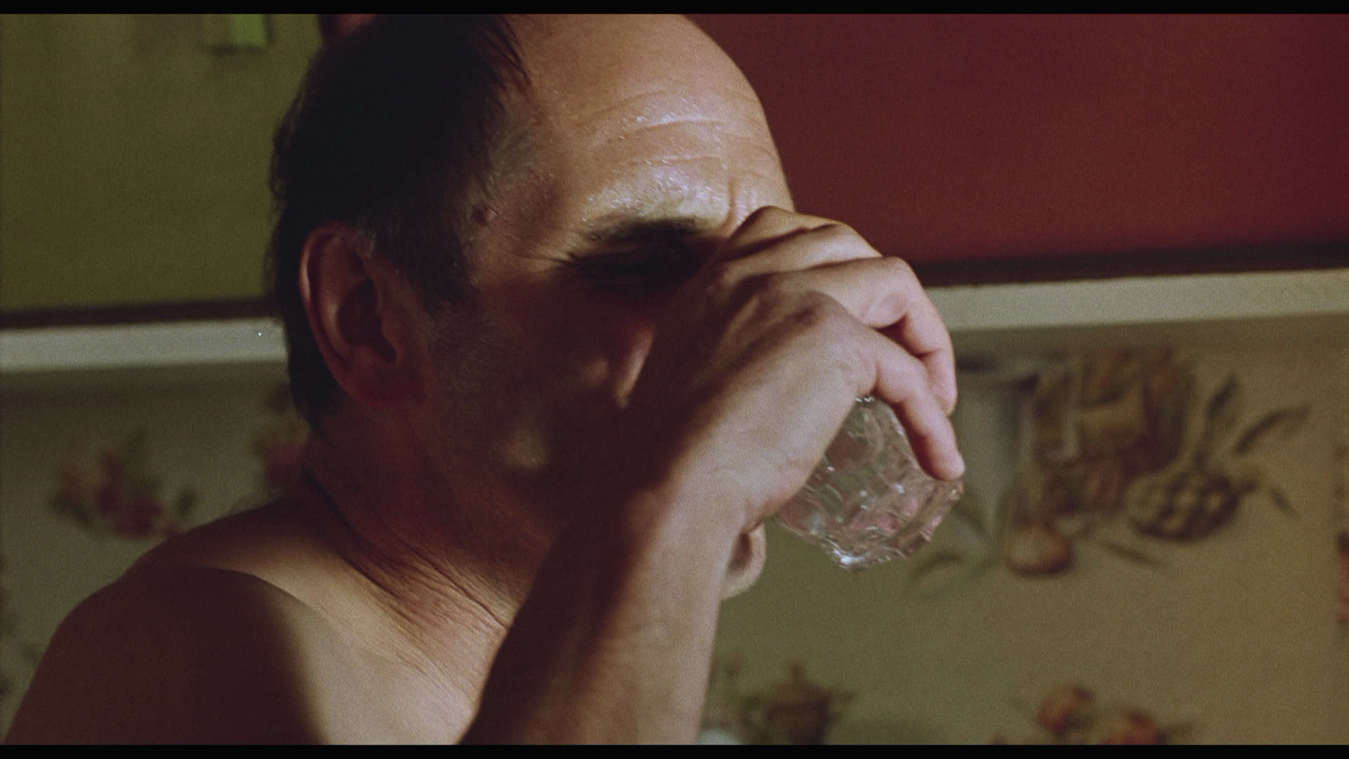 The.Quiet.Earth.1985.Arrow.Films.BDRemux.1080p.mkv_20260704_230541.502.png