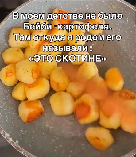 https://i2.imageban.ru/out/2026/07/04/f729cc31080771dd1e5715d8972ec129.jpg