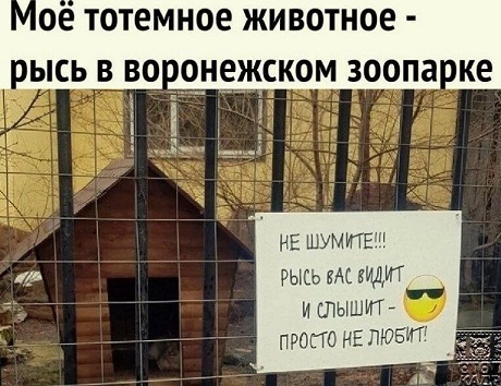https://i2.imageban.ru/out/2026/07/15/a2ef526e590d30f8d1cf5080a7d7b146.jpg