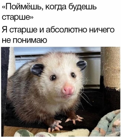 Bsiw3T6qns8dJczO1lVtgLBdzTZV8ColorM9f7RSHAj-XrjaswG7A3JKtwW7Dc6aUAqRuh69ugLKt2XIwU9TG0iJ.jpg