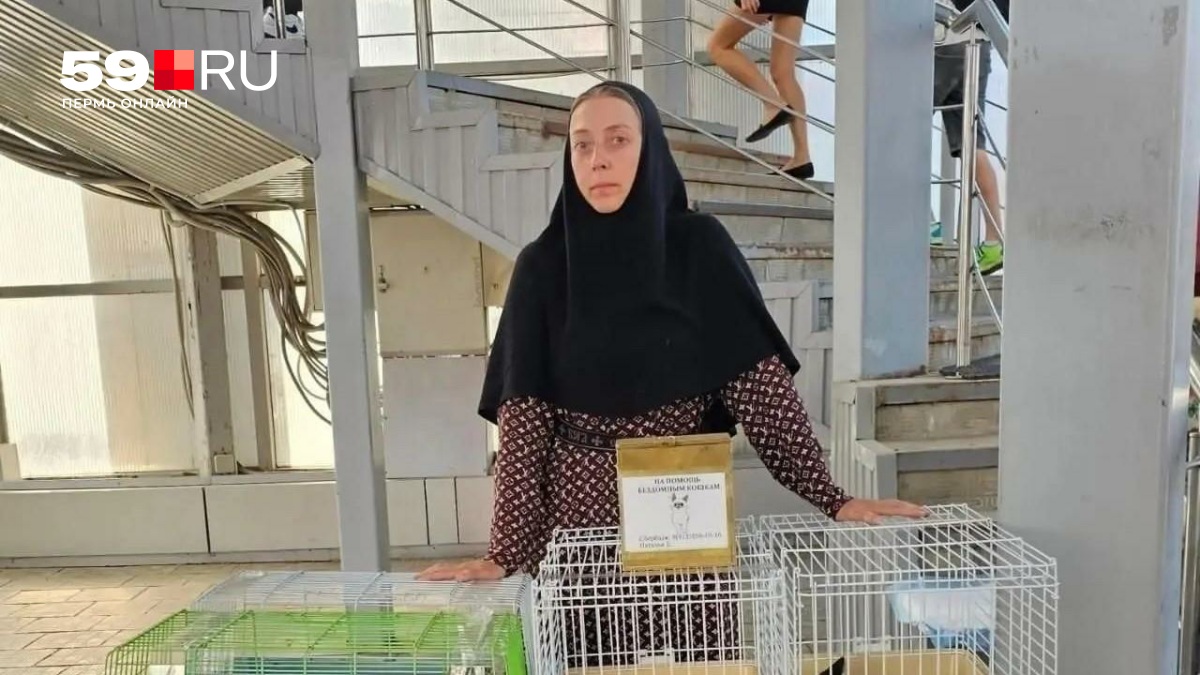 Монахиню выгнали из ТЦ Воронежа за раздачу бездомных котят