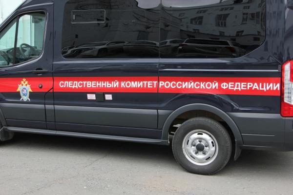 В Пермском крае перед судом окажутся участники группы по распространению детской порнографии