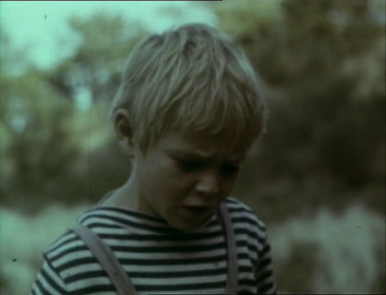 vlcsnap-2026-07-23-10h48m37s479.png