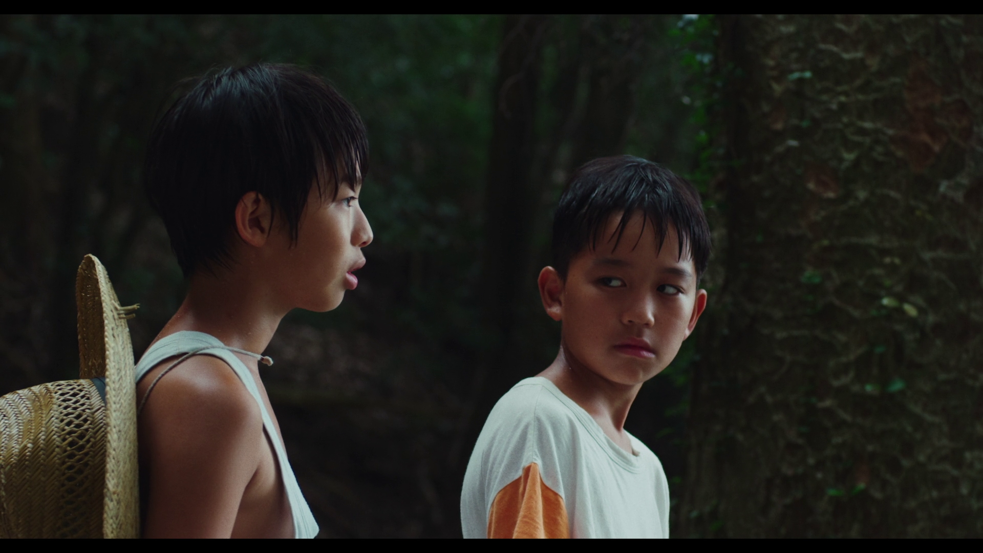 vlcsnap-2026-07-11-11h57m51s031.png