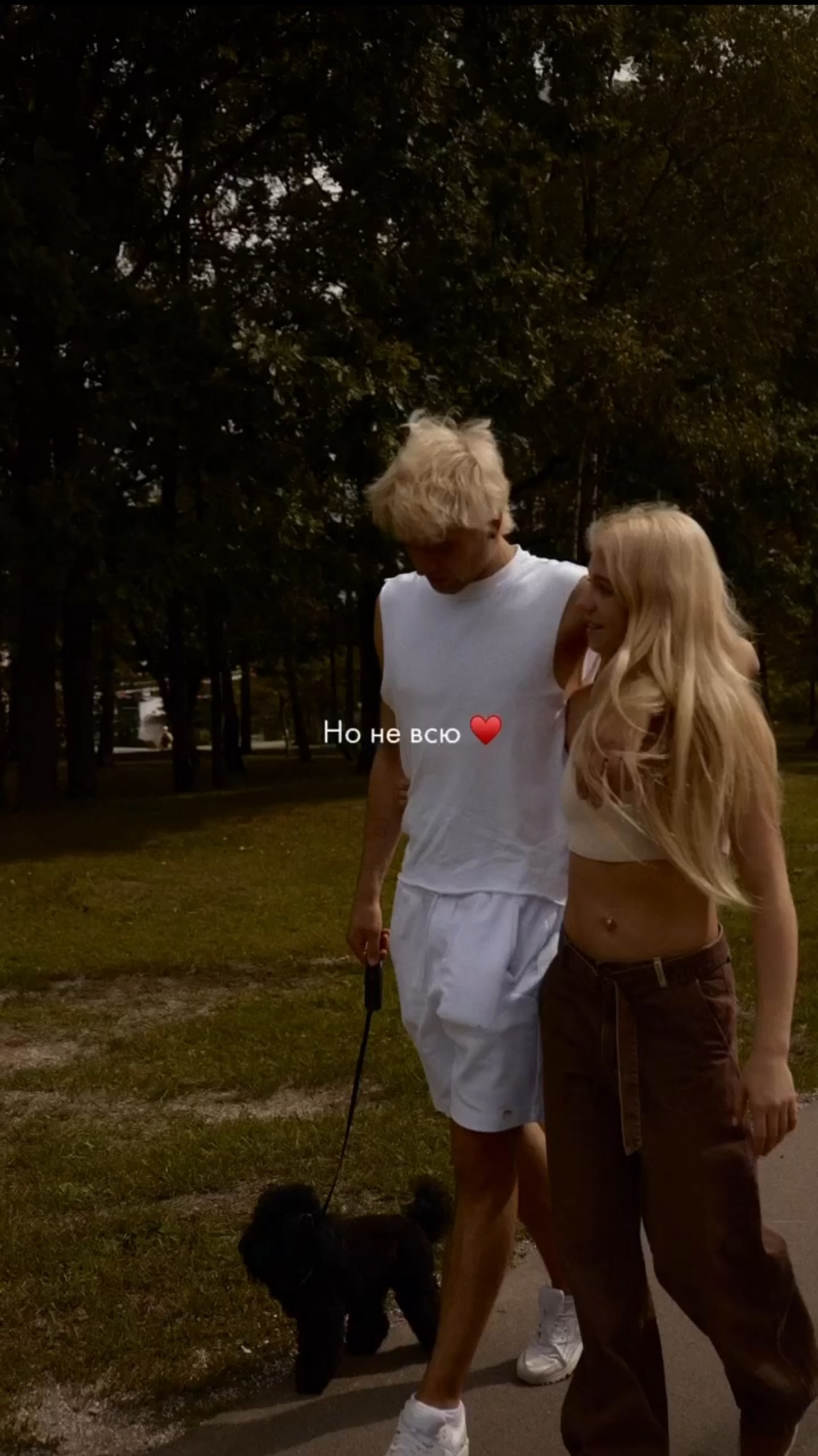 https://i2.imageban.ru/out/2026/07/24/623cd7da0e62cc3ba9665d8488a5bc05.jpg