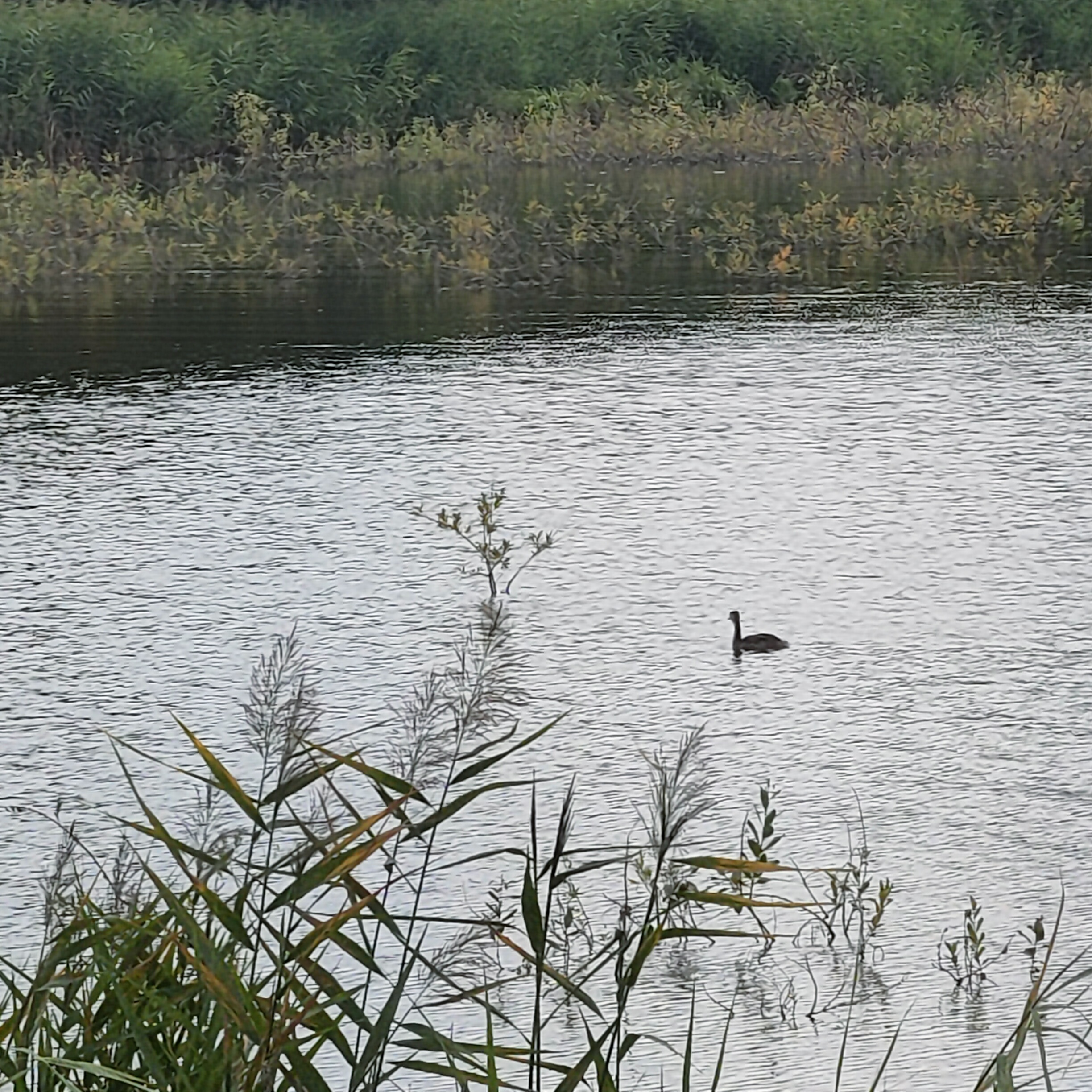 IMG20260806124224.jpg