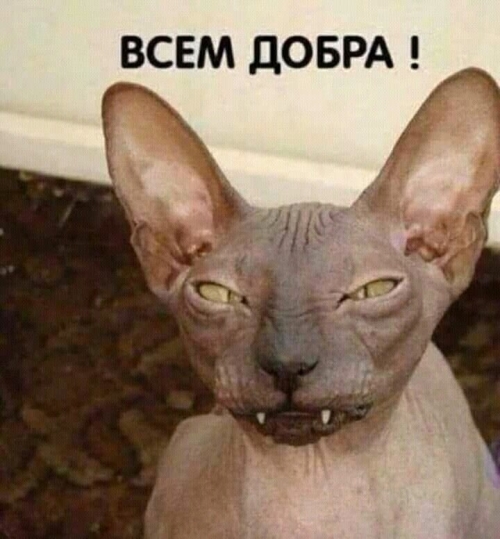 36b21ed55b4090dc5e114b03302b77d6.jpg
