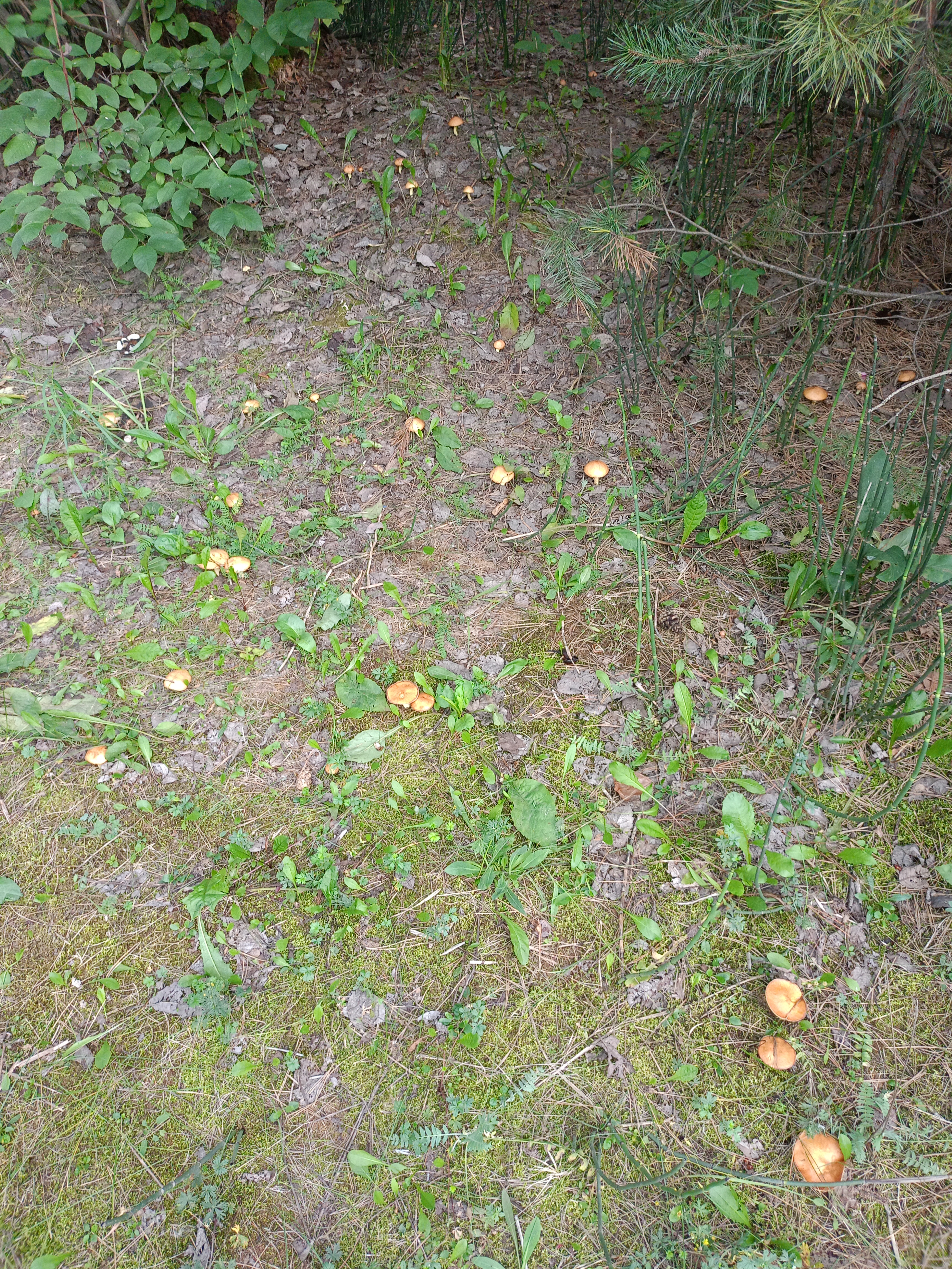 IMG20260803190113.jpg