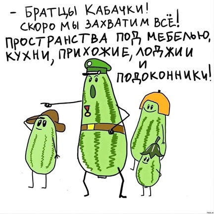 https://i2.imageban.ru/out/2026/08/21/27420eab2e8f6ec6adca96cb97bbdfbf.jpg