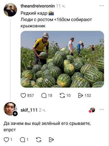 https://i2.imageban.ru/out/2026/08/28/26d5c1deb3dc5a19fa59fec56005d50d.jpg