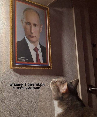 https://i2.imageban.ru/out/2026/09/01/3c0b45bc318f0be3d288fb6bf662c4ec.jpg