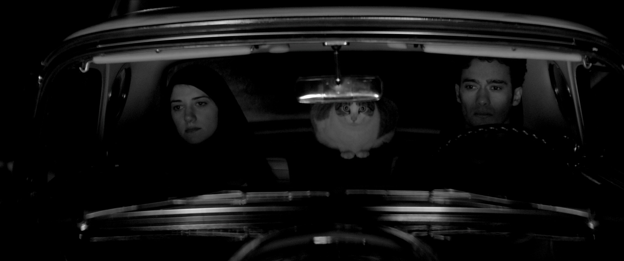 Девушка возвращается одна ночью домой.2014.BDRip 720p msltel.mkv_snapshot_01.35.28.342.jpg