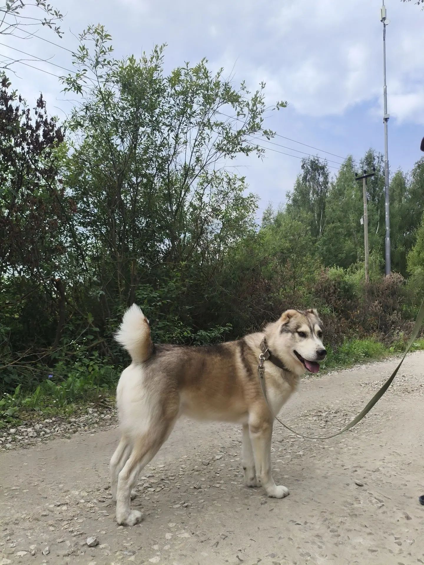 https://i2.imageban.ru/out/2026/09/09/702d81cecca3fc3e3d94518ade08cf21.jpg