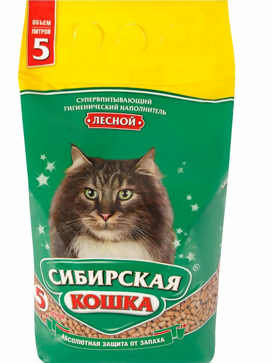 orig.jpg