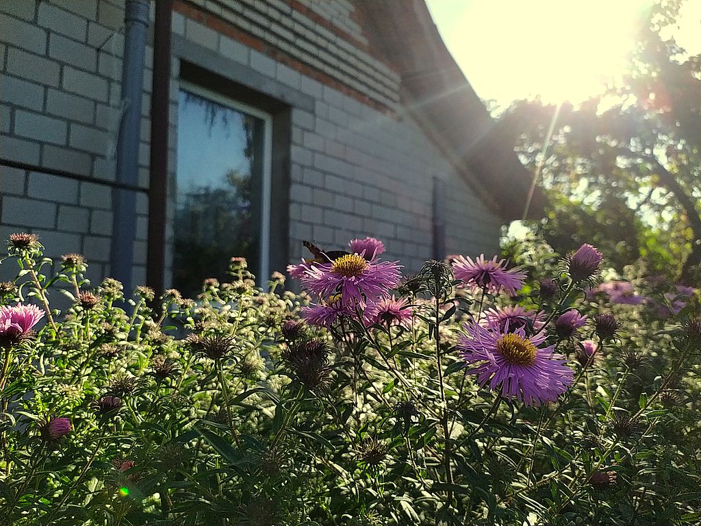IMG_20260909_162341.jpg