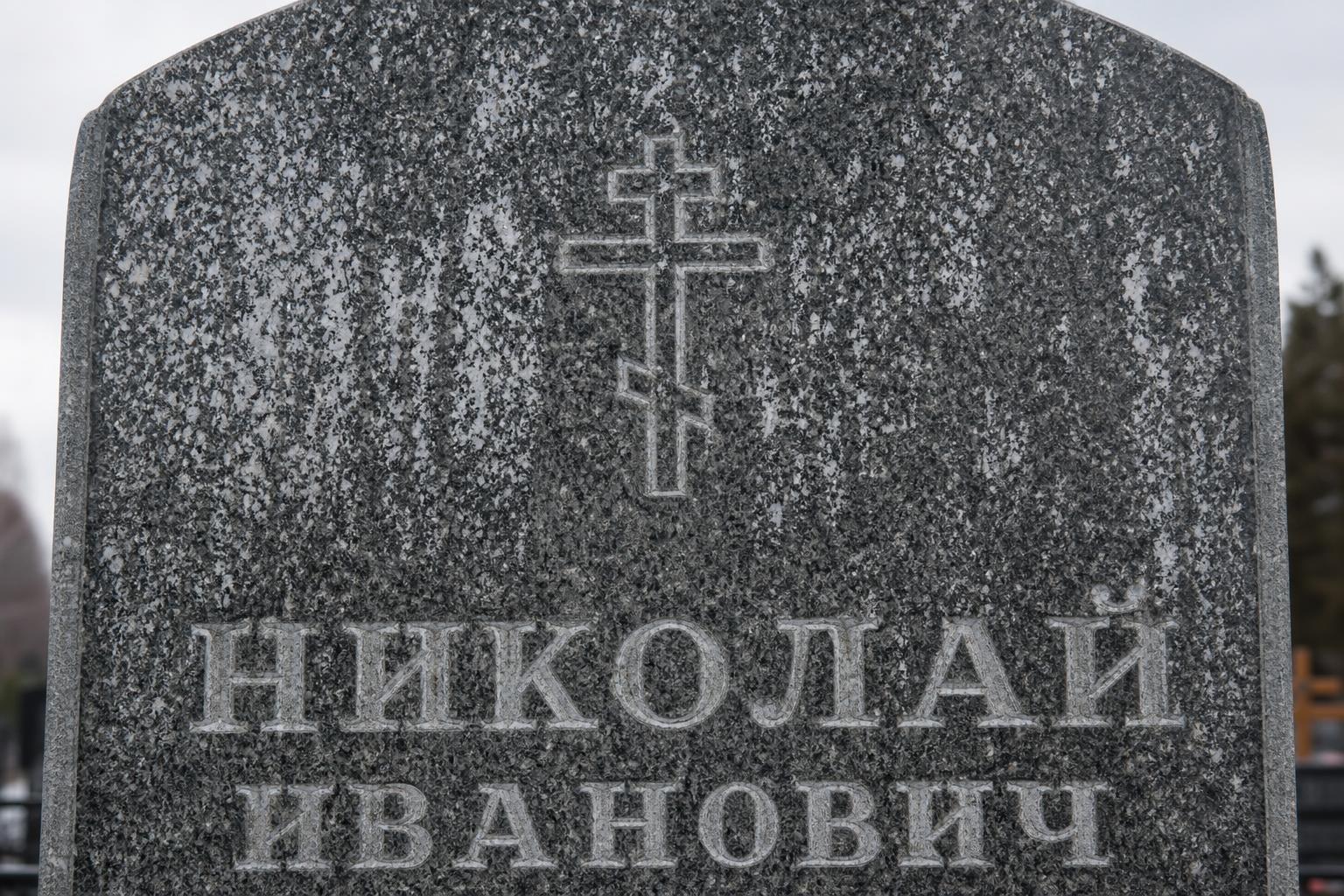 Гранитный памятник с видимыми белыми высолами на поверхности
