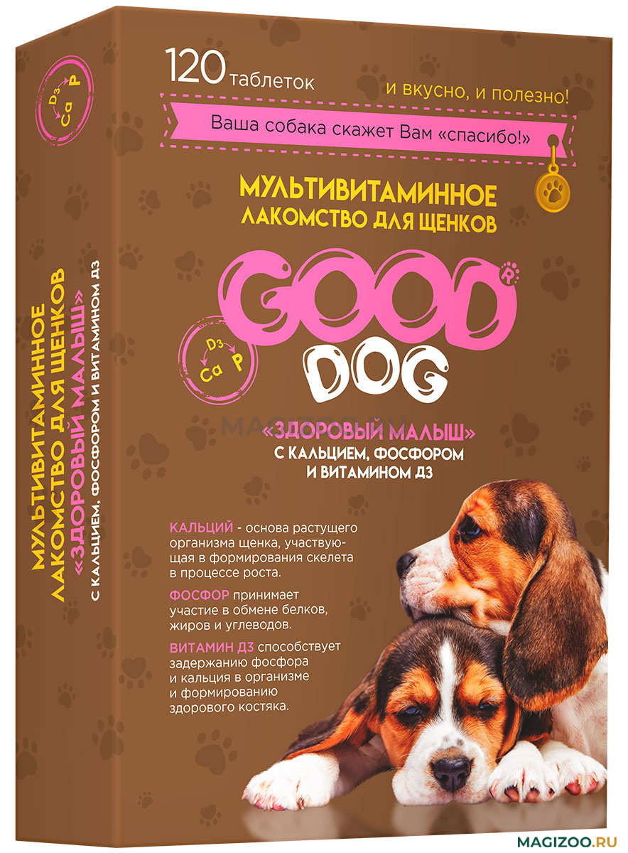 GOOD_DOG_ZDOROVIY_MALISH_PUPPY_120_FG_05101.jpg