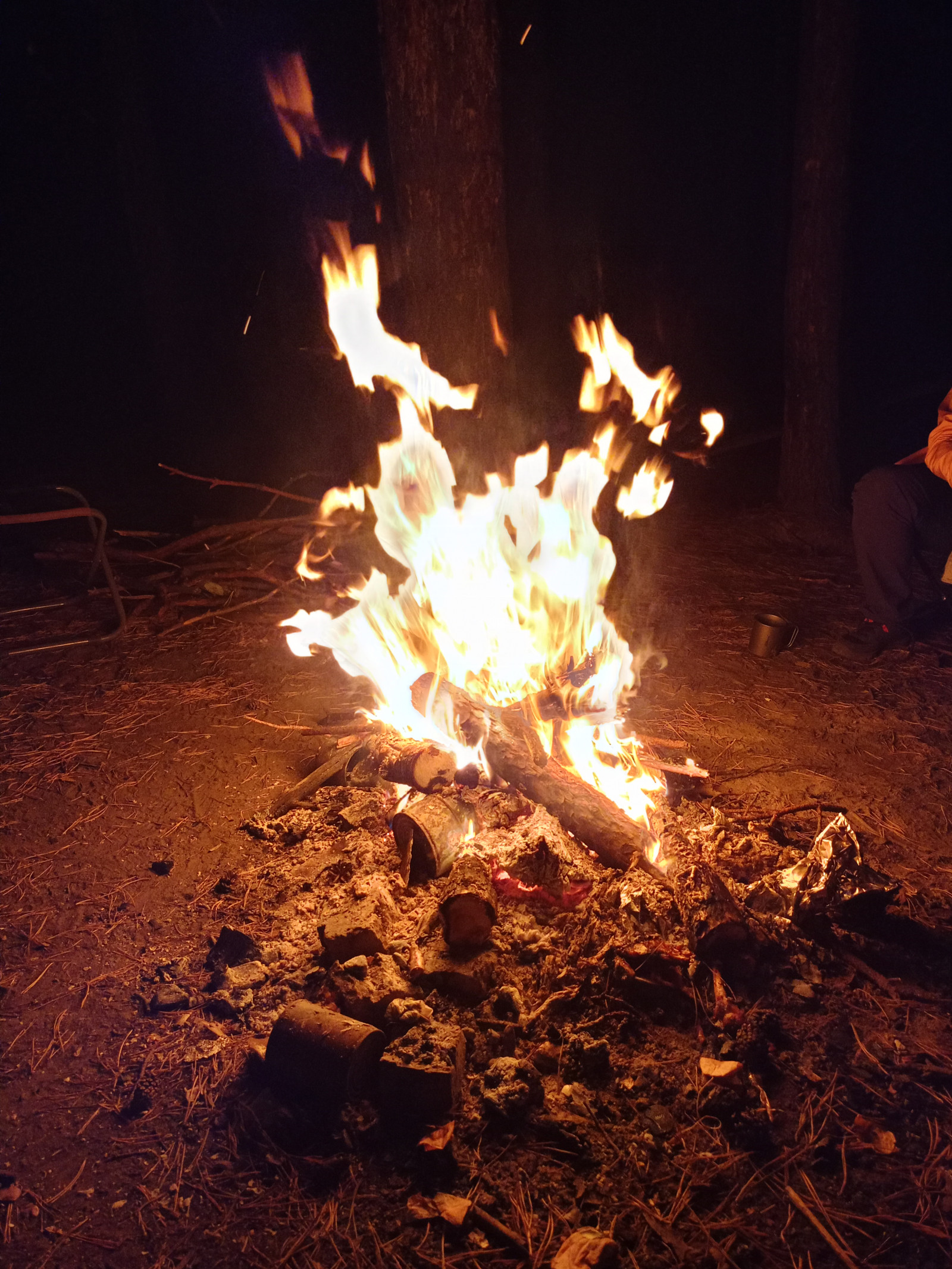 IMG20260912215033.jpg