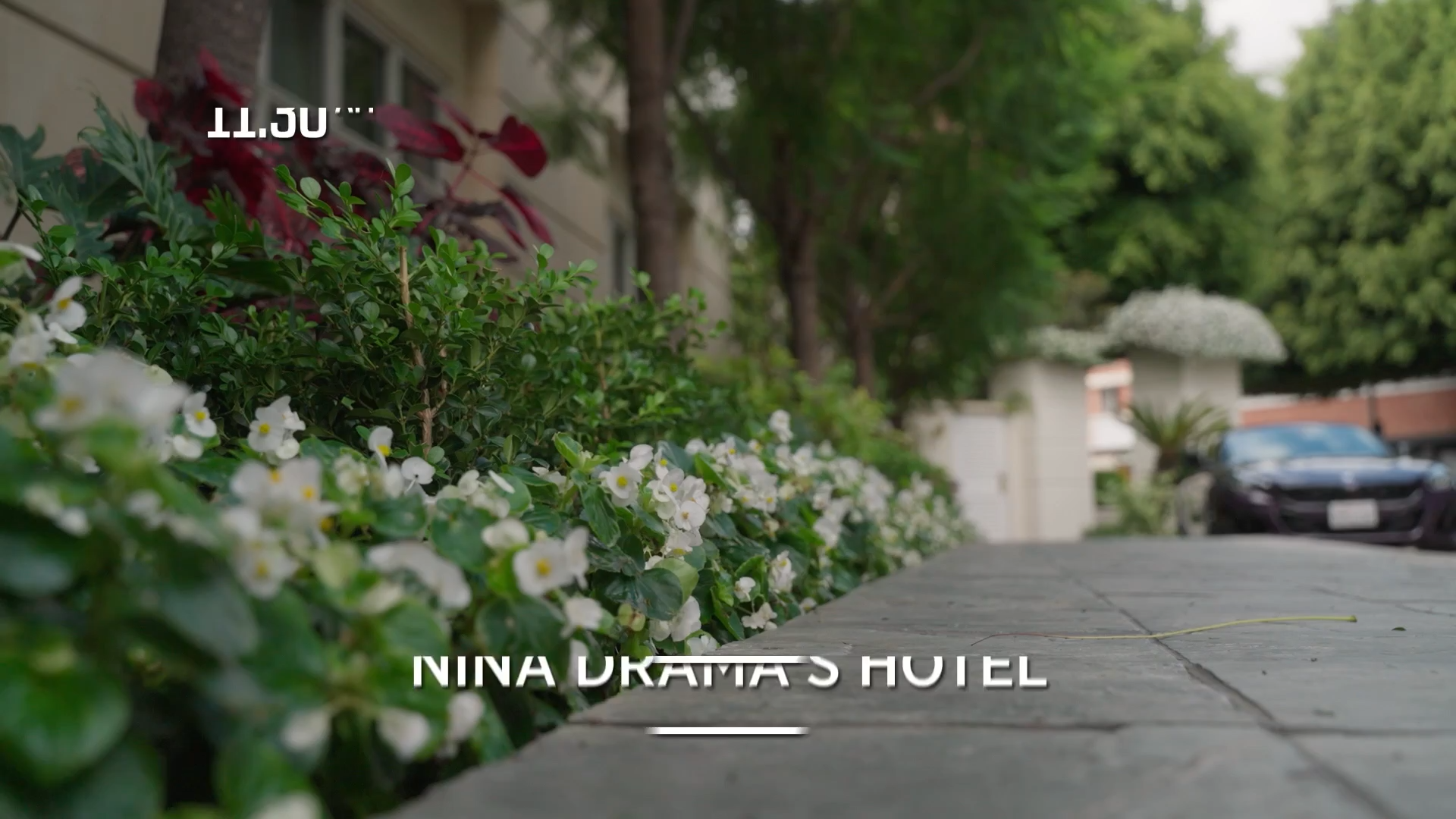 Embedded 4.mkv_snapshot_04.50.000.png