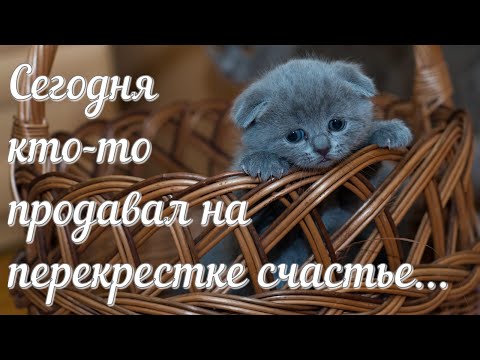 i_r_AEHujHvw2RjEbemUCNEorZbxYpb_p_9AcN2FmGik64KrkVglsVEvmrahpbKp7HPRjVV7Zi9s0CiBOSDmbngC-I-k_amp_fn_external_8.jpg