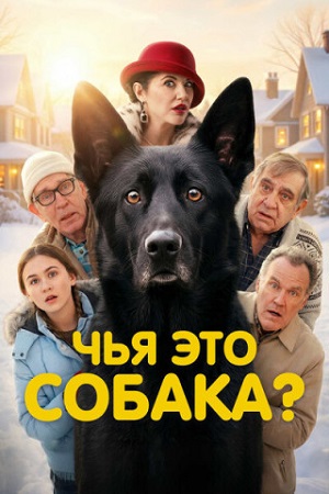 Чья это собака? / Not My Dog (2025) WEB-DL 1080p | D