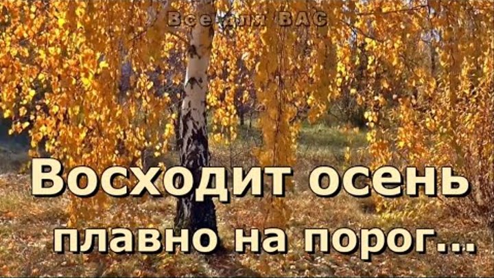 videoPreview_id_773019535998_type_47_idx_32_tkn_BVP5-smzxl98AK0OuuLoBFuE6nY_i_1_fn_external_8.jpg