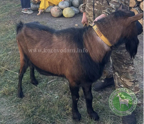 Хасик 2 Екатеринаъ.jpg