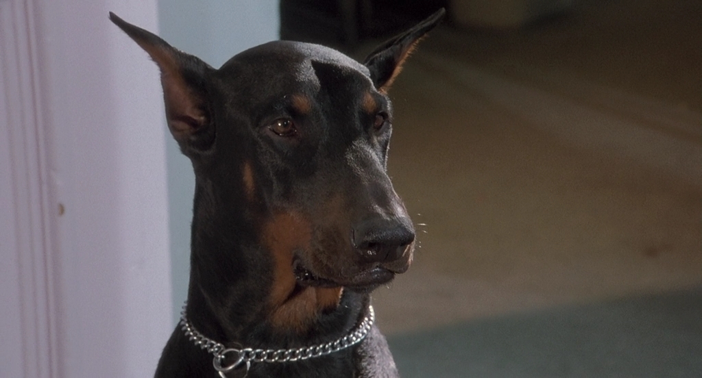 К-911.1999.BDRip AVC msltel.mkv_snapshot_00.23.17.291.jpg