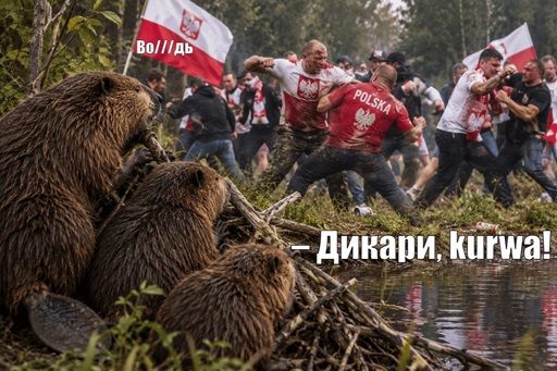https://i2.imageban.ru/out/2026/10/31/e84c6ac5fbfa4b5682e56852b0609b69.jpg