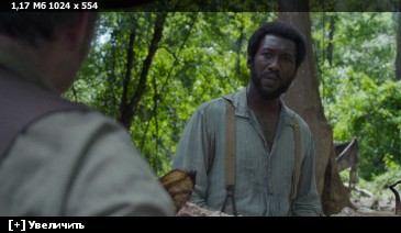 ��������� ���� ������ / Free State of Jones (2016) BDRip-AVC | iTunes | 2.14 GB