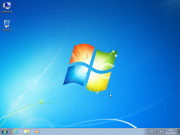 Windows 7 Professional VL SP1 2in1