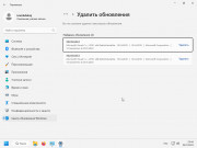 Windows 11 3in1 x64 22H2 [Build 22621.963] [Update 04.01.2023] (2023) PC от ivandubskoj | FIX | RUS