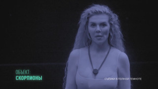 https://i2.imageban.ru/thumbs/2025.04.09/7b8a4715782d5fb890f2a0de18a1ab36.jpg