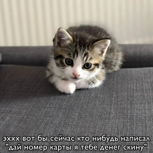 кты 