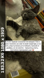 https://i2.imageban.ru/thumbs/2025.05.26/69cb57112ef1b2012ad68b36208beeea.jpg