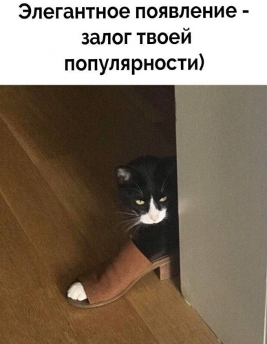 c86c1c7d024741cb6a7233e25929e1d9.jpg