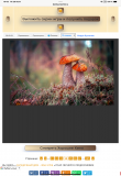 https://i2.imageban.ru/thumbs/2025.07.28/1fb42a6a9569ec627f6a06cb048549a8.png