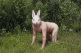 https://i2.imageban.ru/thumbs/2026.05.04/3c4e9ec65fedd3bc2b9e6daa7107b7e3.jpg