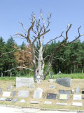 https://i2.imageban.ru/thumbs/2026.06.12/51042e202dd7eb79606012ce3dfe592a.jpg