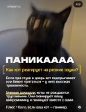 https://i2.imageban.ru/thumbs/2026.07.23/48210c63d48cc9ced46fdebba9290422.jpg